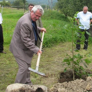 Stromy reformácie v Opinej a Červenici 