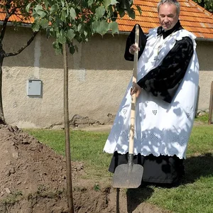 Strom reformácie a monografia obce Baďan