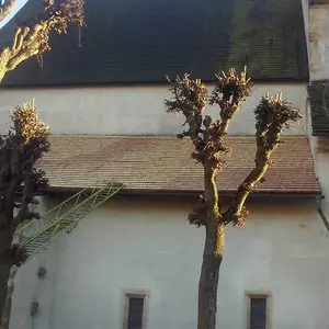 Oprava striech na chráme Božom v Štítniku